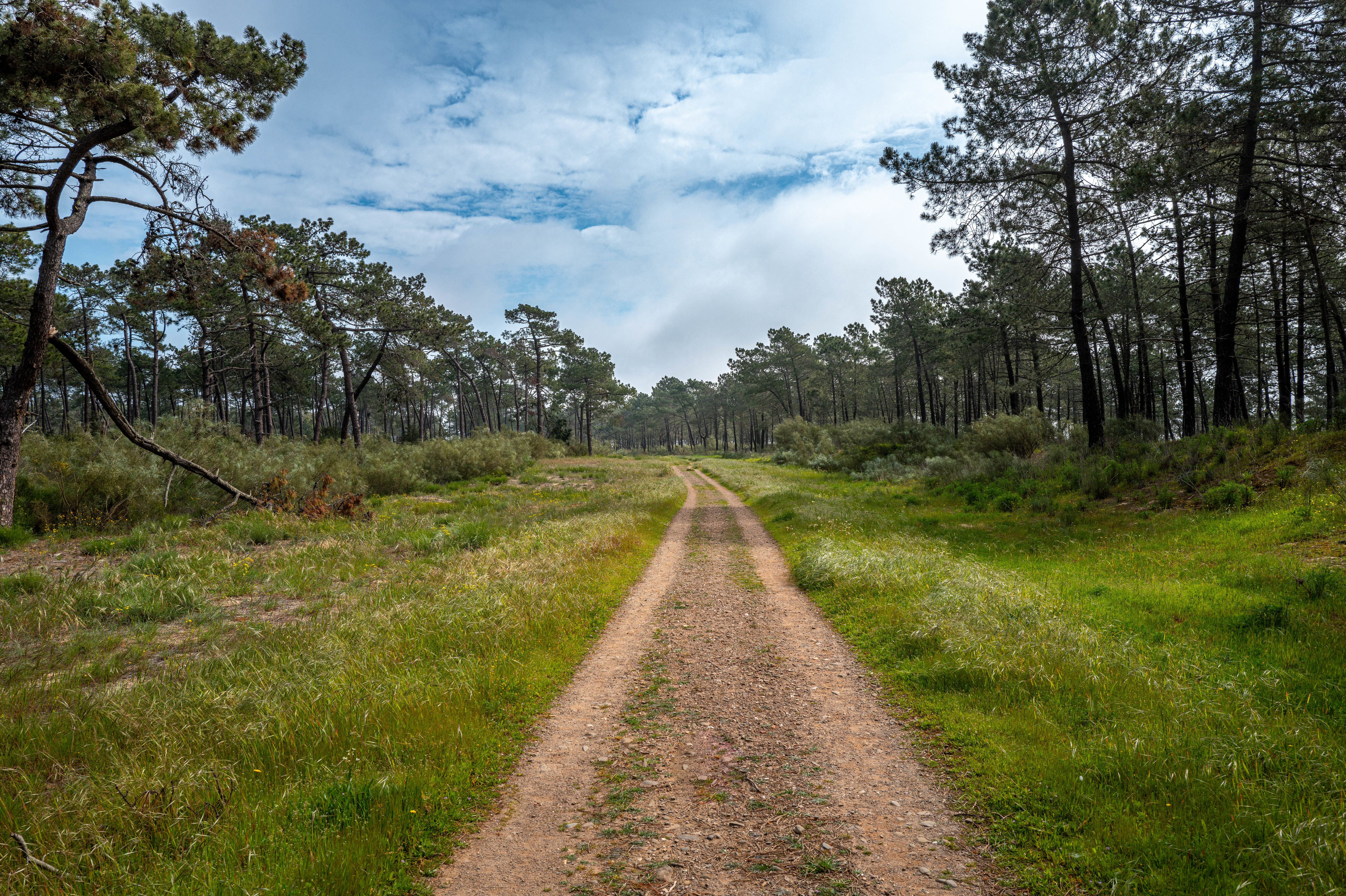 East Algarve landscape in the afternoon light